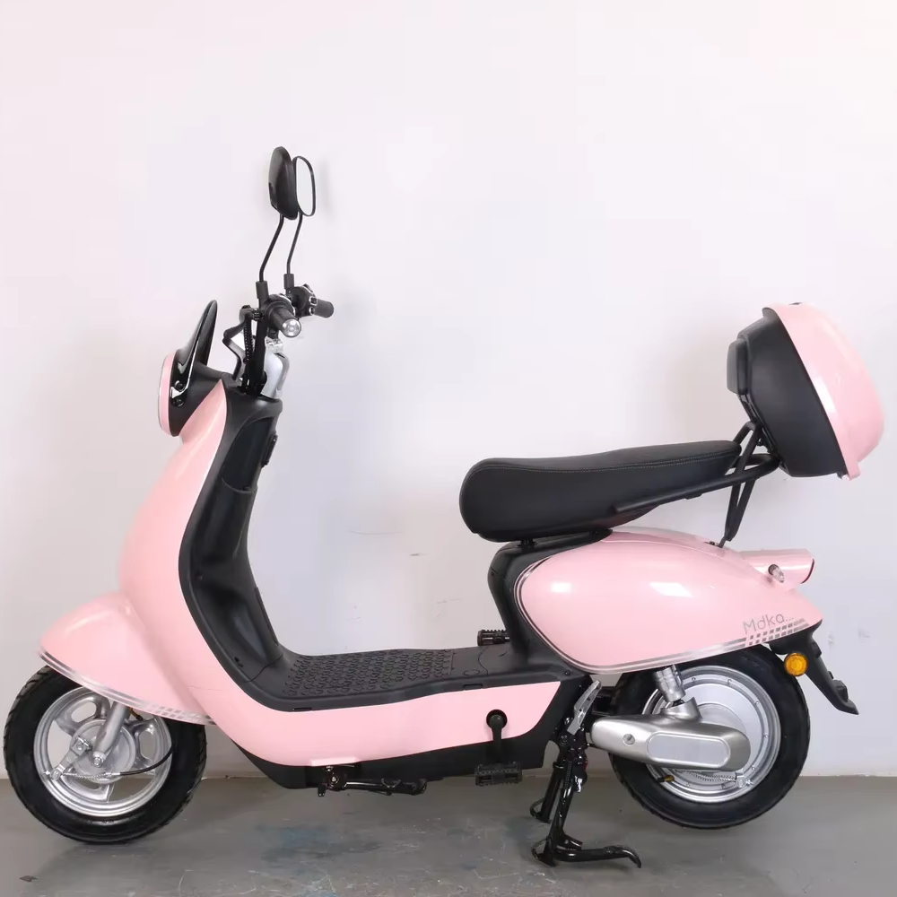 COC Certified 48V Electric Bicycle Hydraulic Shock Absorbers & Front Rear Drum Brakes for Optimal Safety Rear Hub Motor